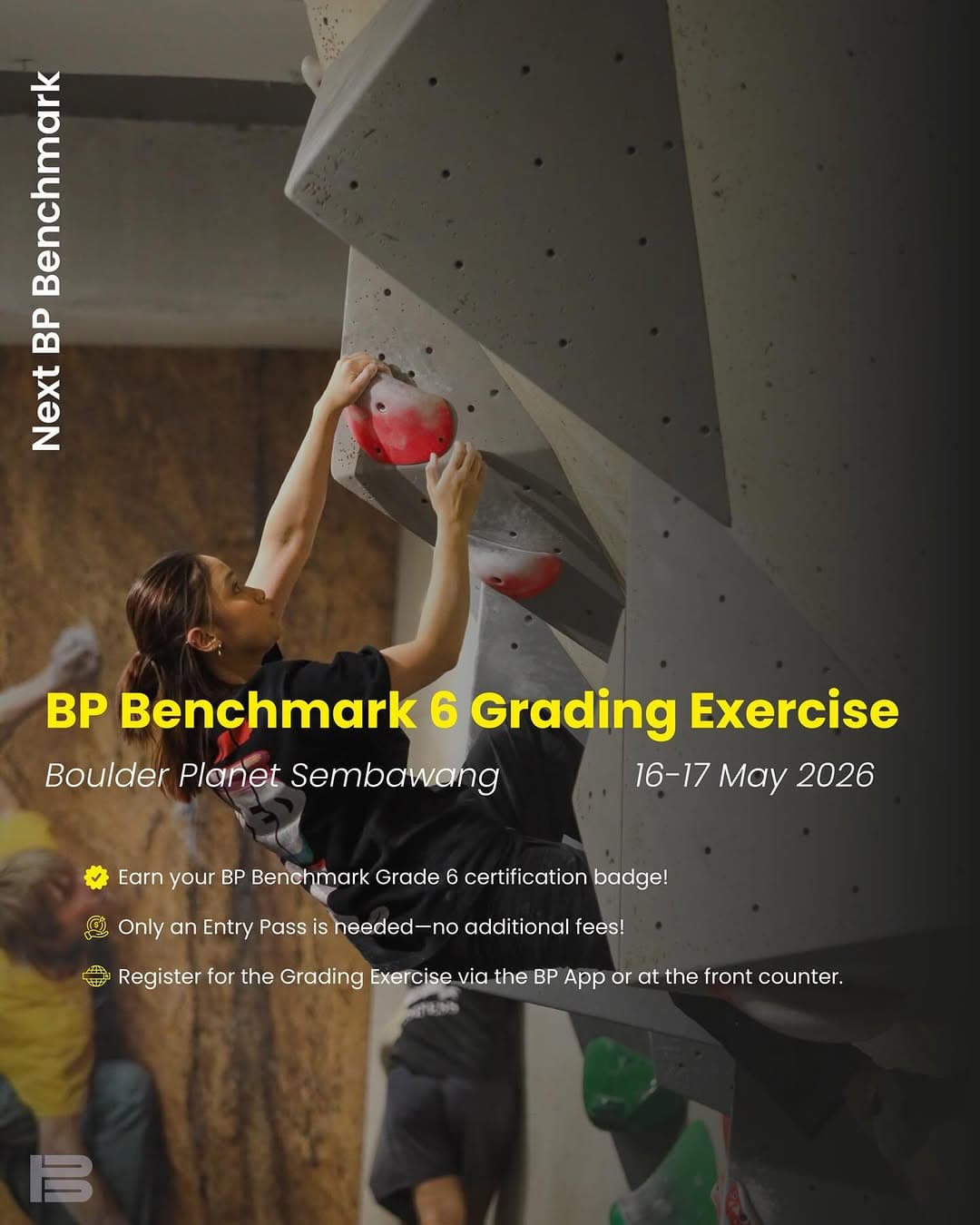 BP Benchmark 6 Grading Exercise