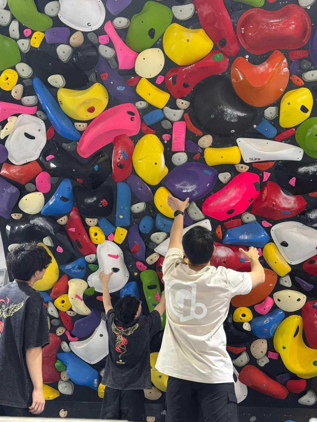 A spray wall: a steep panel densely and randomly covered in a mix of hold shapes, sizes and materials